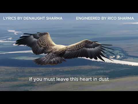 MORE THAN BDY — video thumbnail